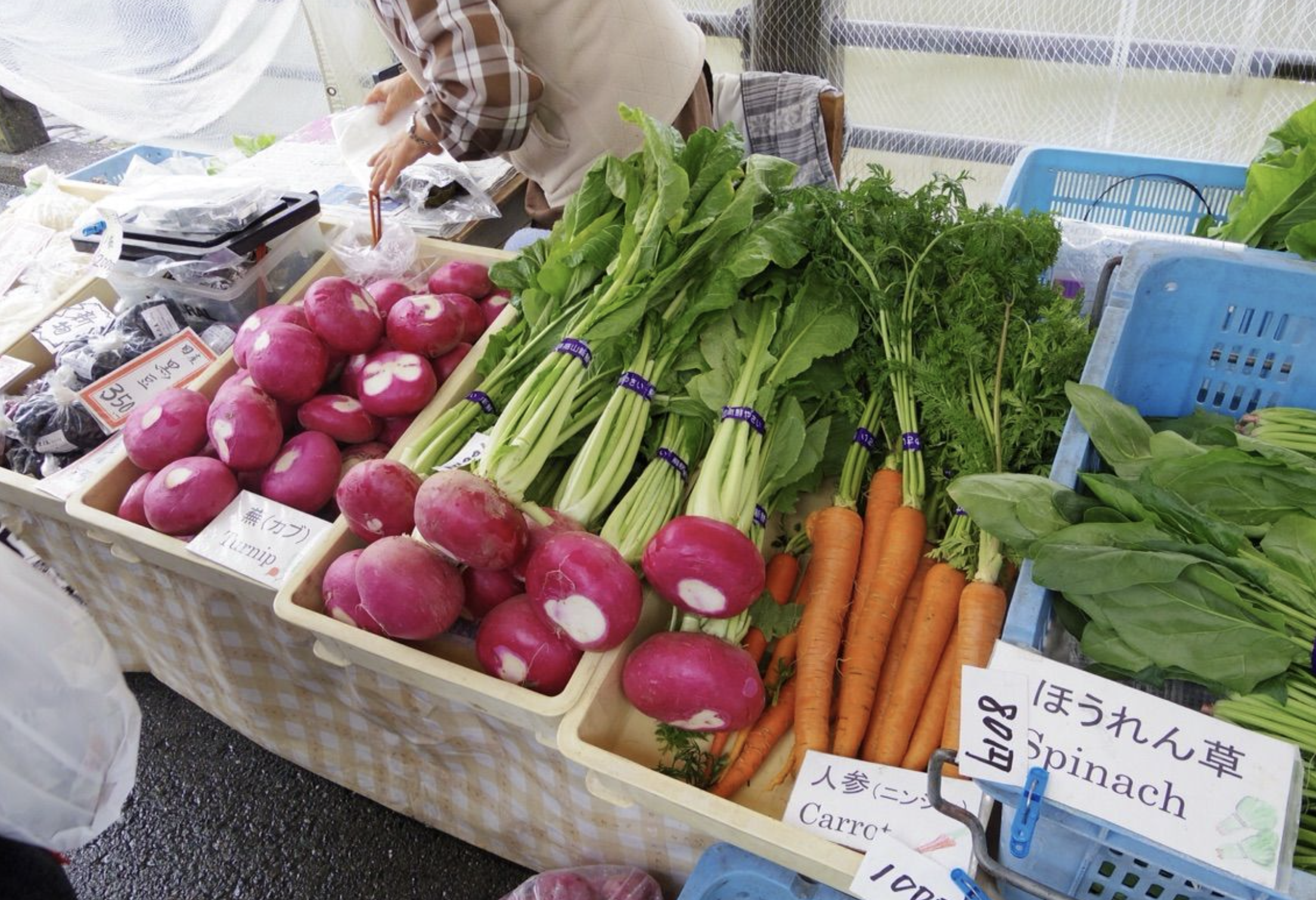 「岐阜宮川朝市」新鮮な農産物