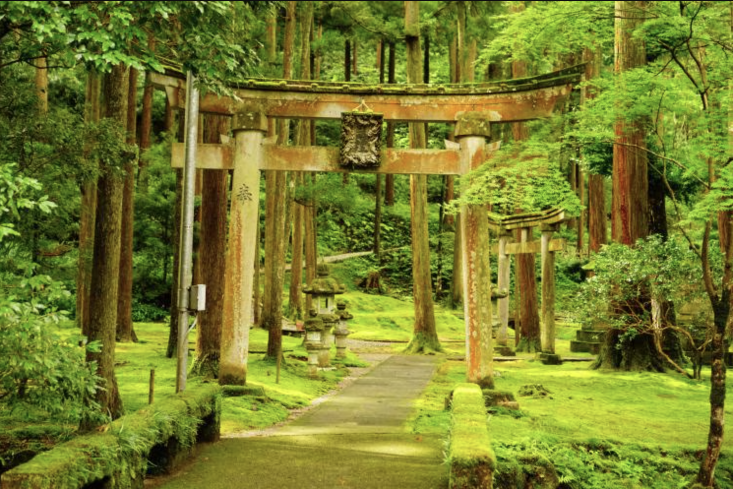 「石川叡智の杜」苔の里