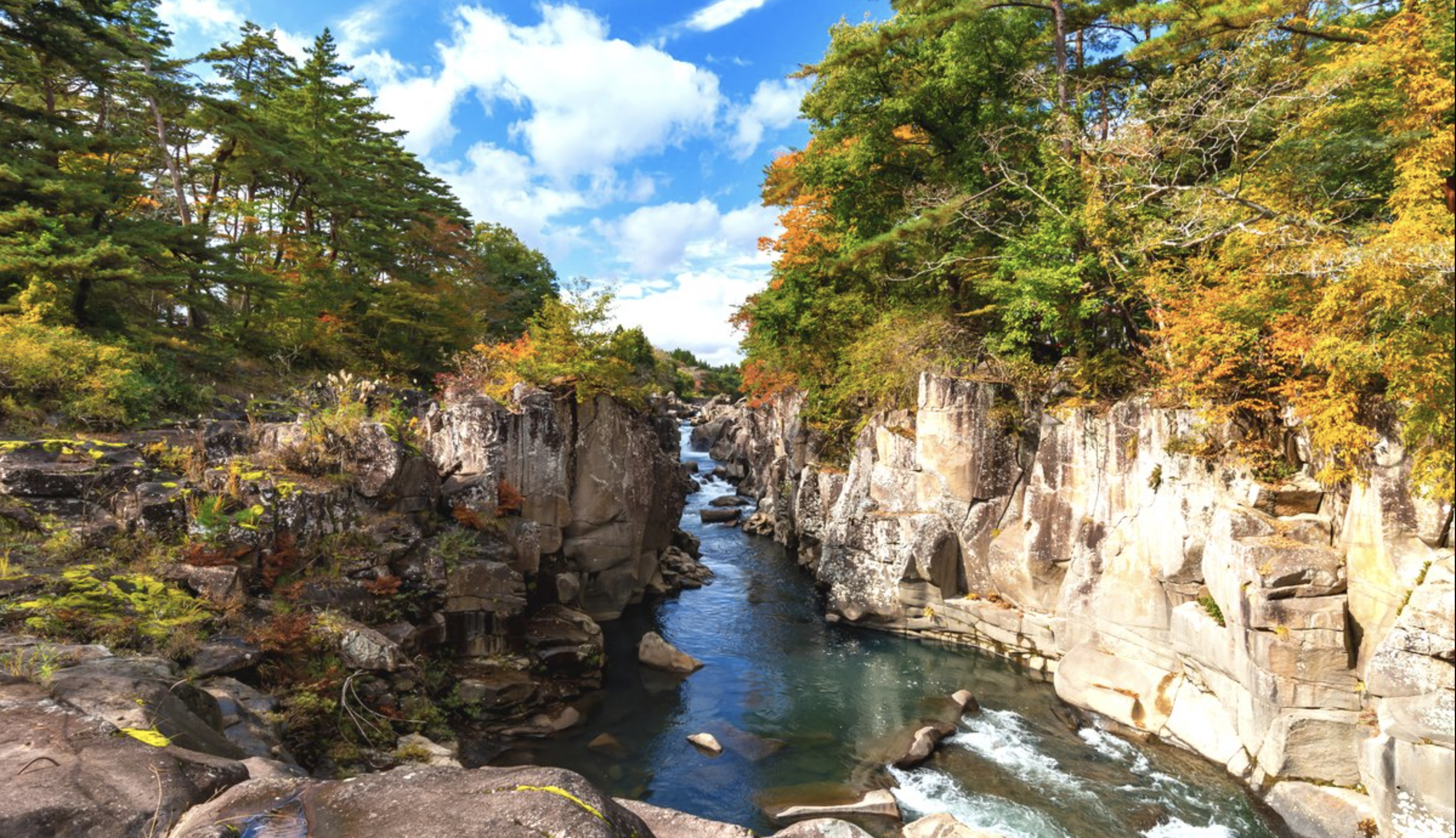 「岩手平泉」美しい