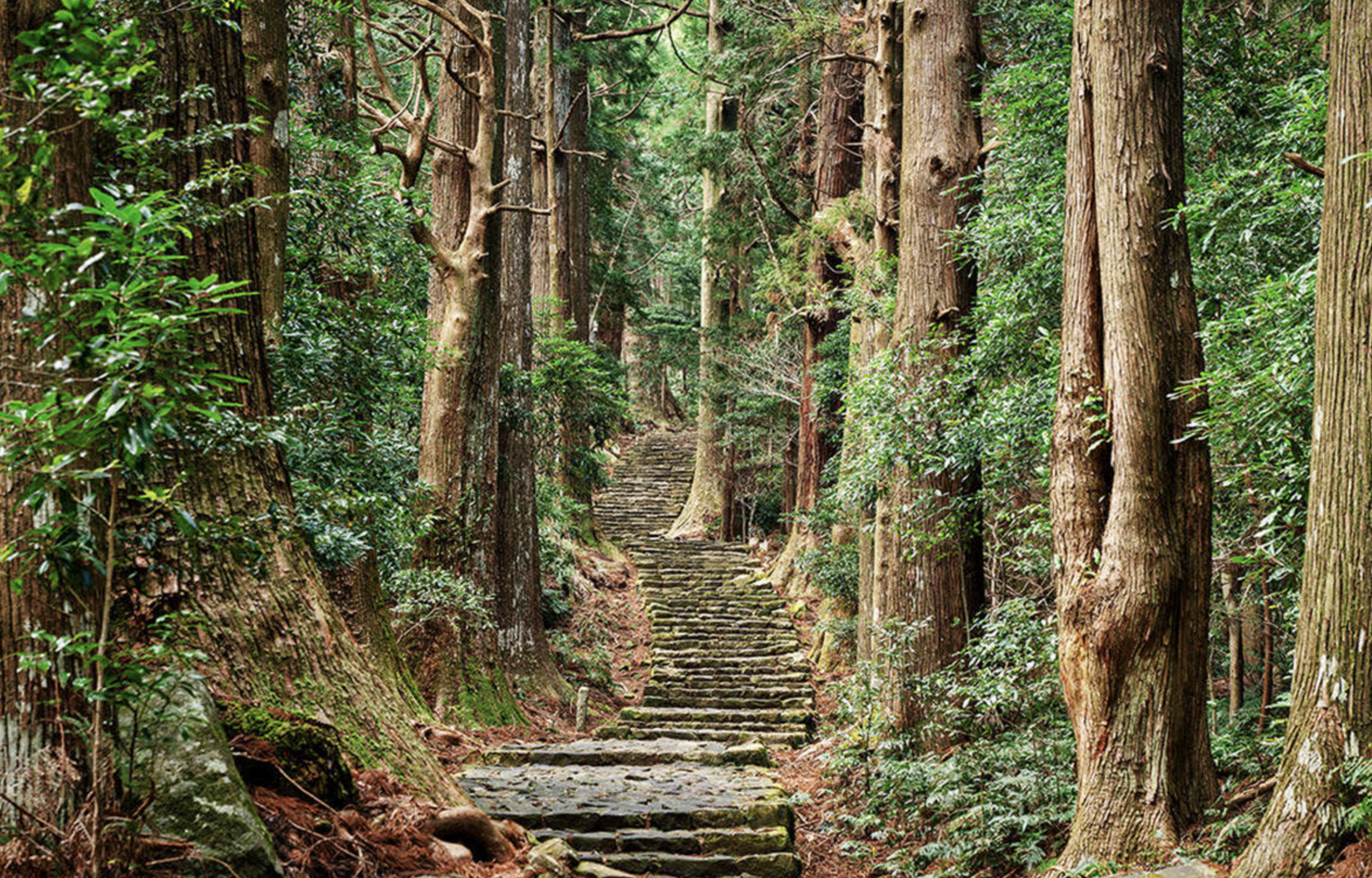 「三重熊野古道」世界遺産