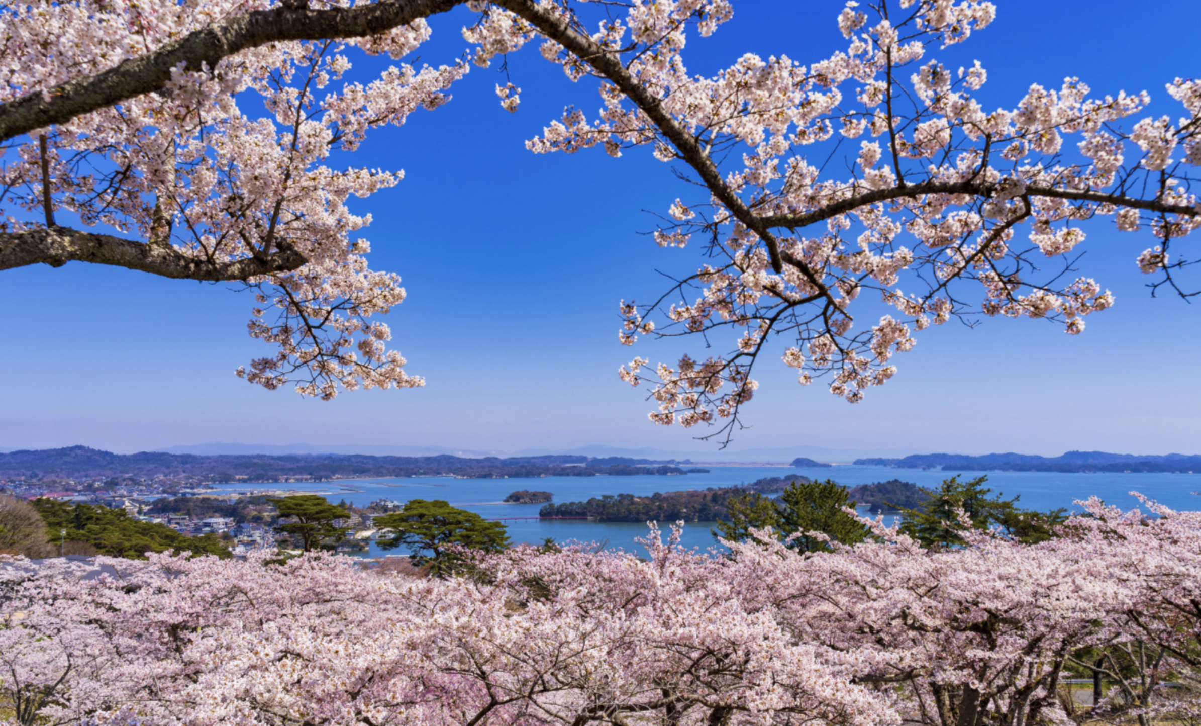 「宮城西行戻しの松公園」絶景