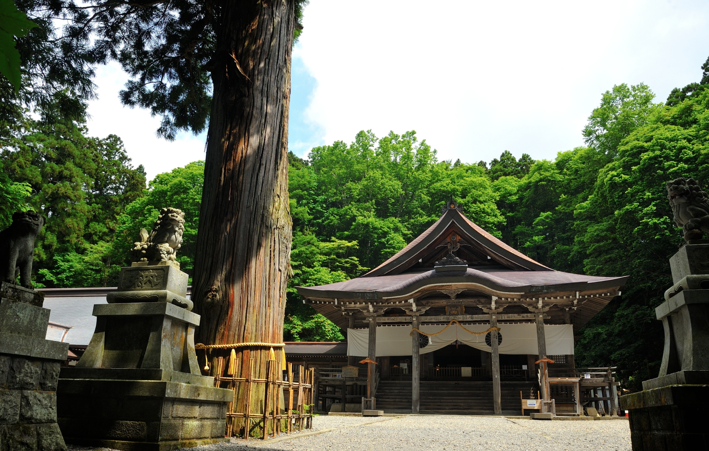 「長野戸隠神社」神秘的