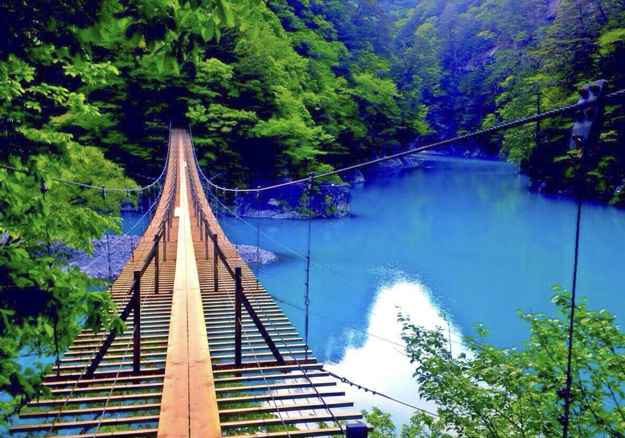 「静岡夢の吊橋」絶景