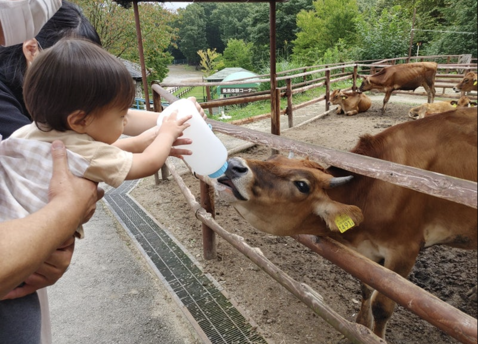 「栃木那須高原りんどう湖ファミリー牧場」癒し