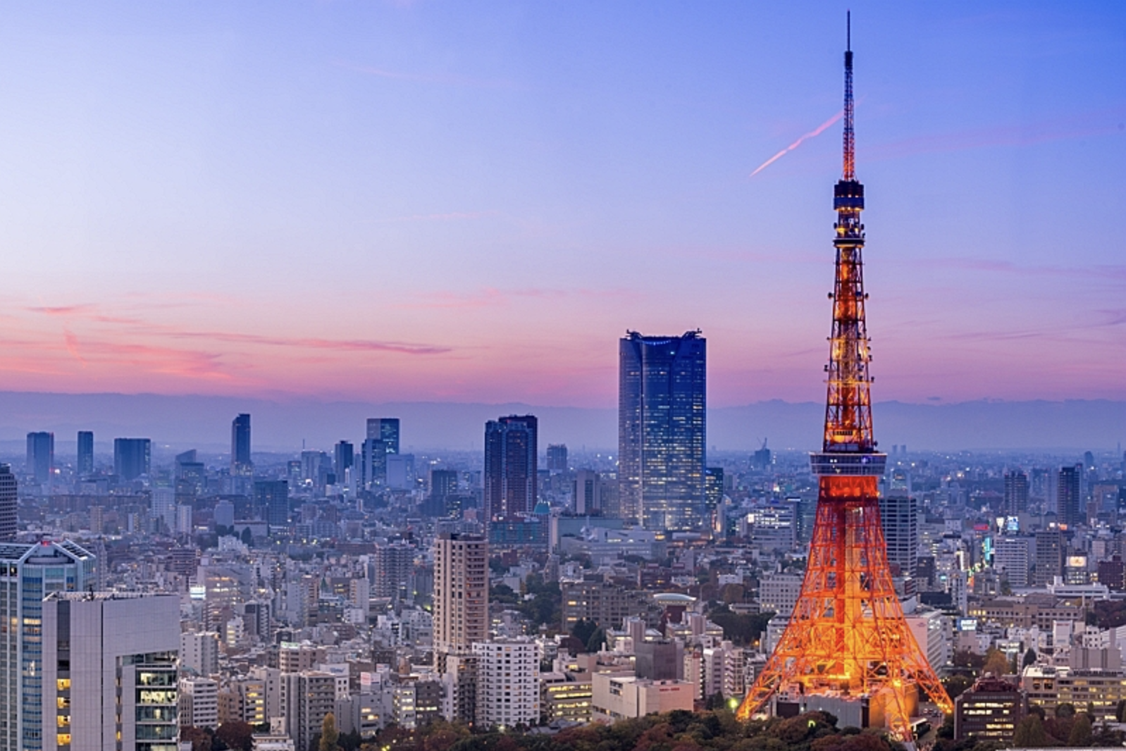 「東京タワー」ロマンチック