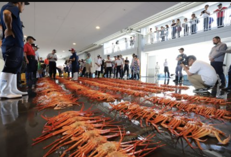 「富山新湊きっときと市場」新鮮な海の幸