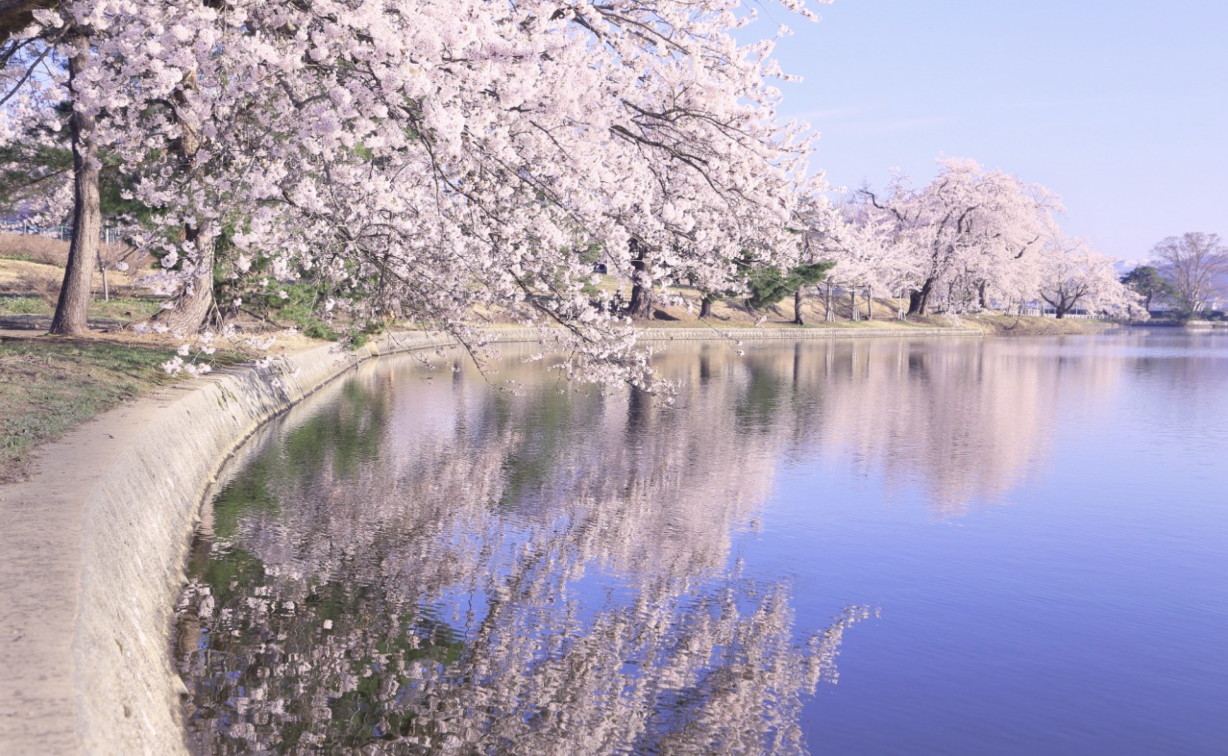 「山形徳良湖」ピクニック