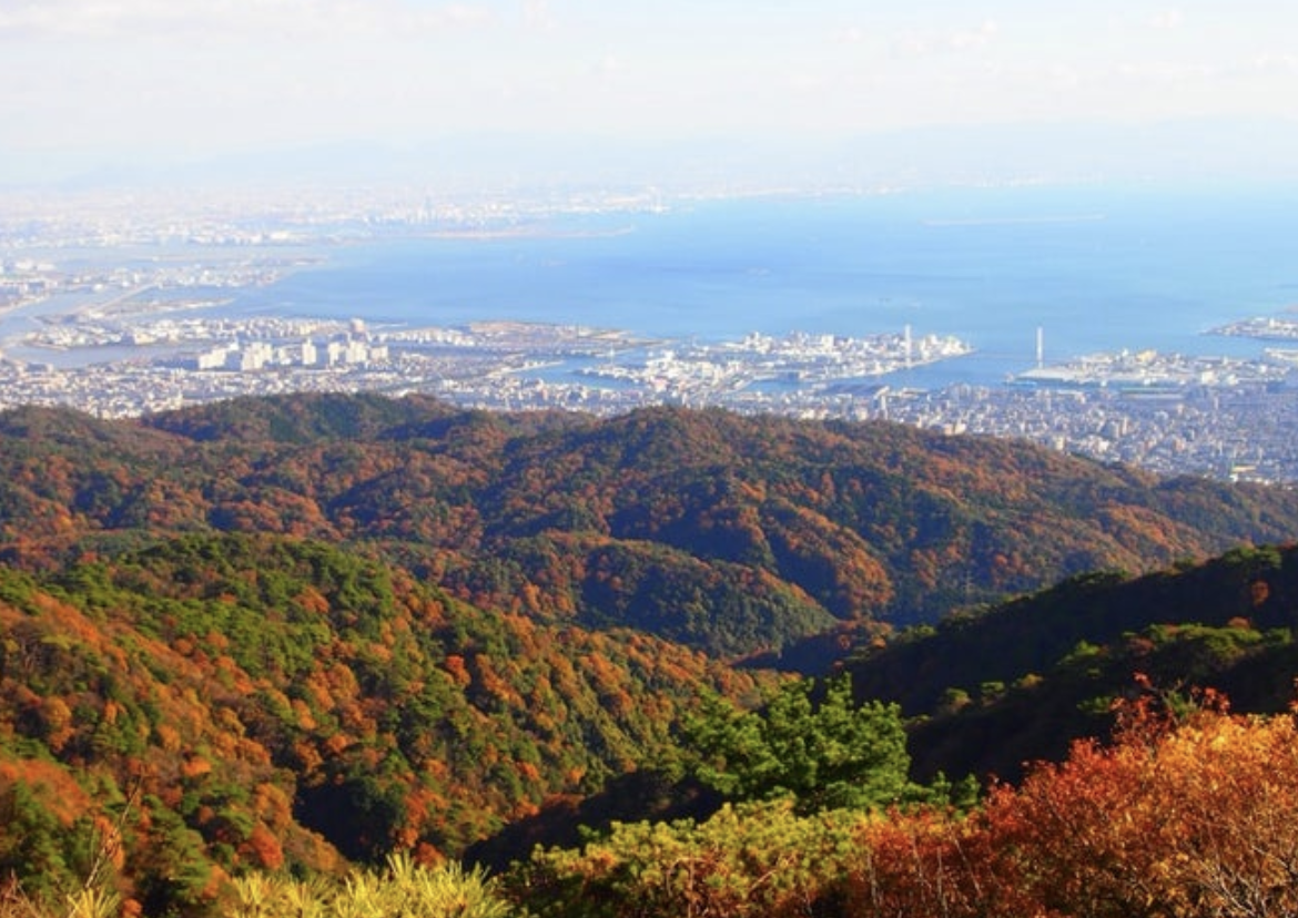 5. 六甲山：四季折々の自然を楽しむ絶景スポット