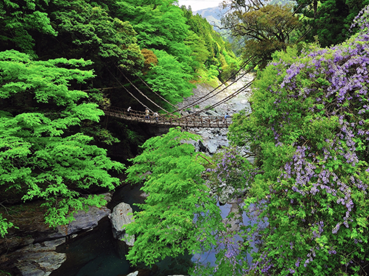 4. 祖谷渓：神秘的な橋と秘境の風景