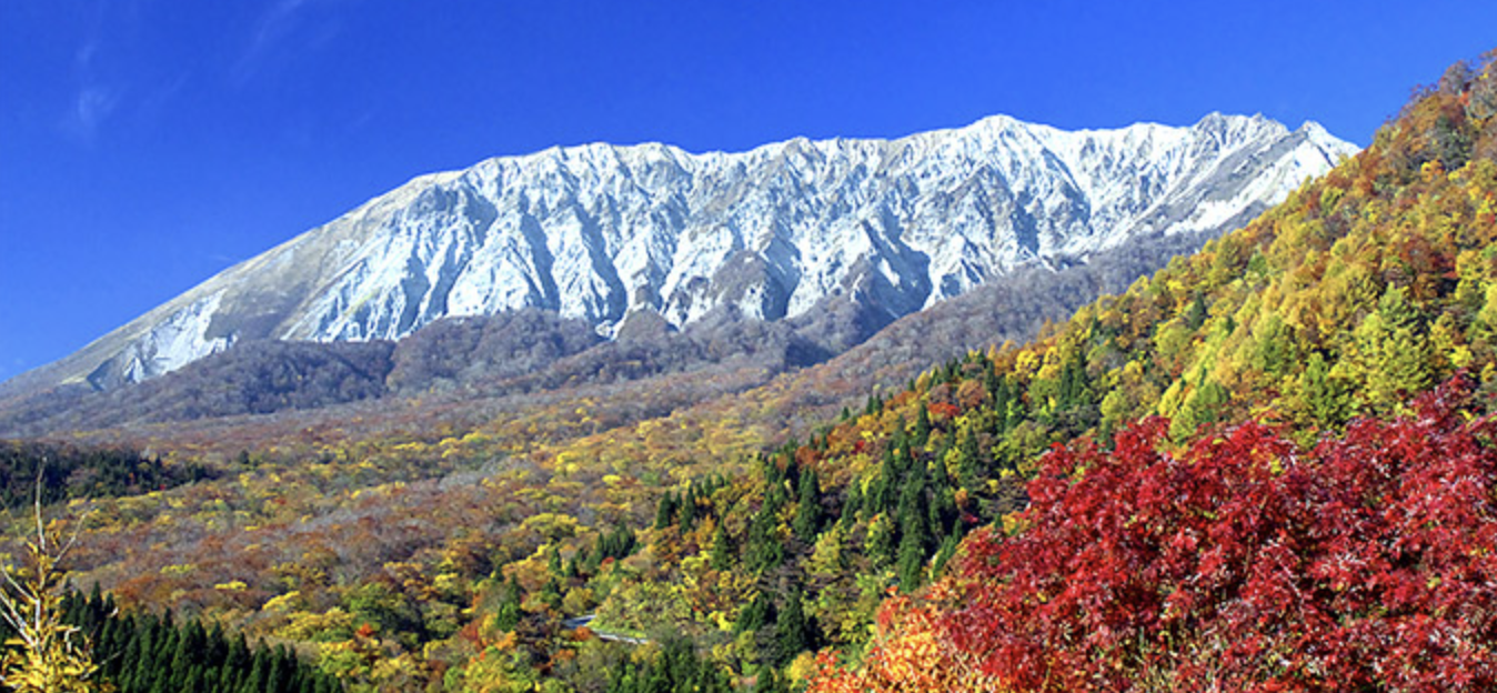 大山：四季折々の美しさを満喫